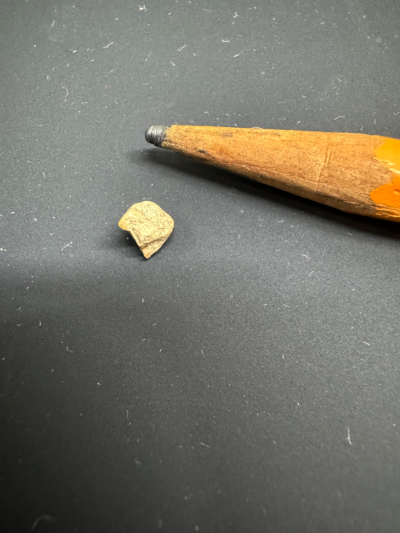 Found a Rock in Amy's Meals
